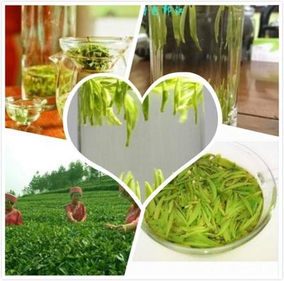 品味茶香,寄情山水,这6种茶为你展现独特的贵州茶文化